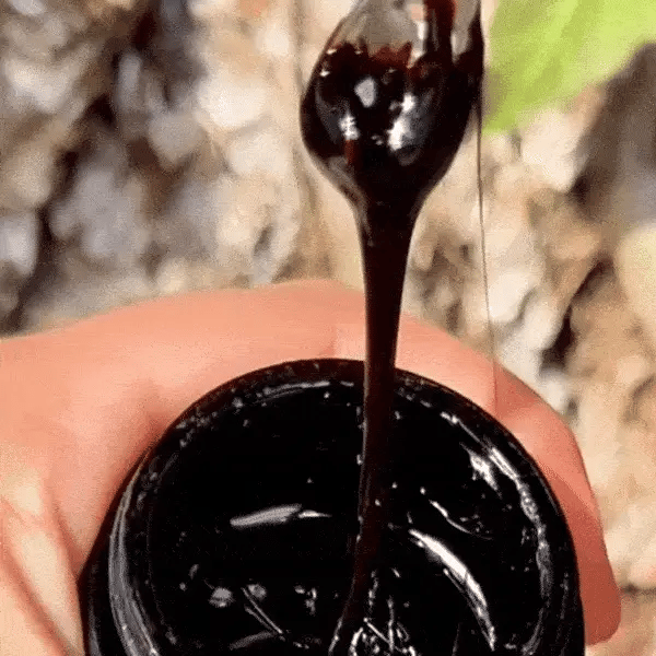 SHILAJIT - Energía Ancestral Shilajit